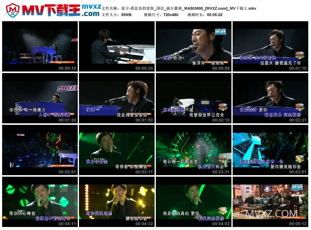 张宇-我是真的爱你_国语_流行歌曲_MA503695